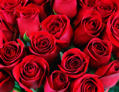 Beställ blommor till begravning Grödinge - Begravningsbyrå Grödinge - Isacsons Begravningsbyrå Grödinge - Begravningar Grödinge Beställ blommor till begravning Grödinge - Begravningsbyrå Grödinge - Isacsons Begravningsbyrå Grödinge - Begravningar Grödinge